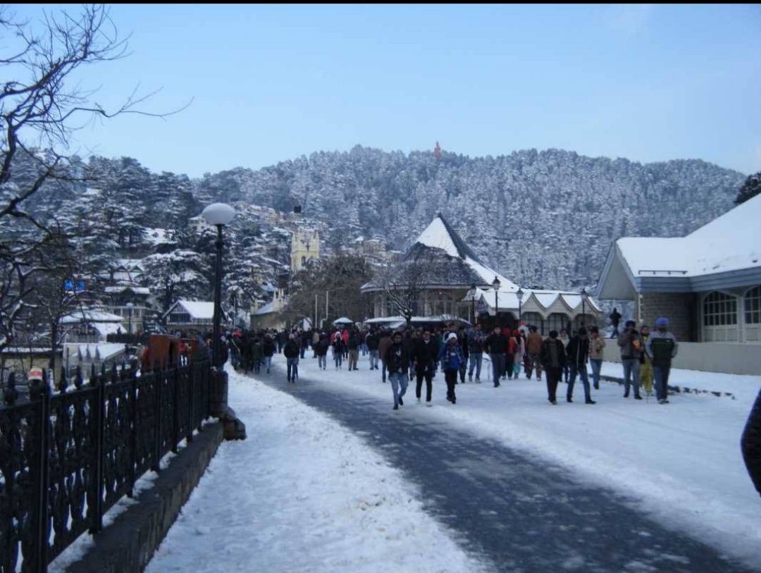 Himachal: Manali & Shimla