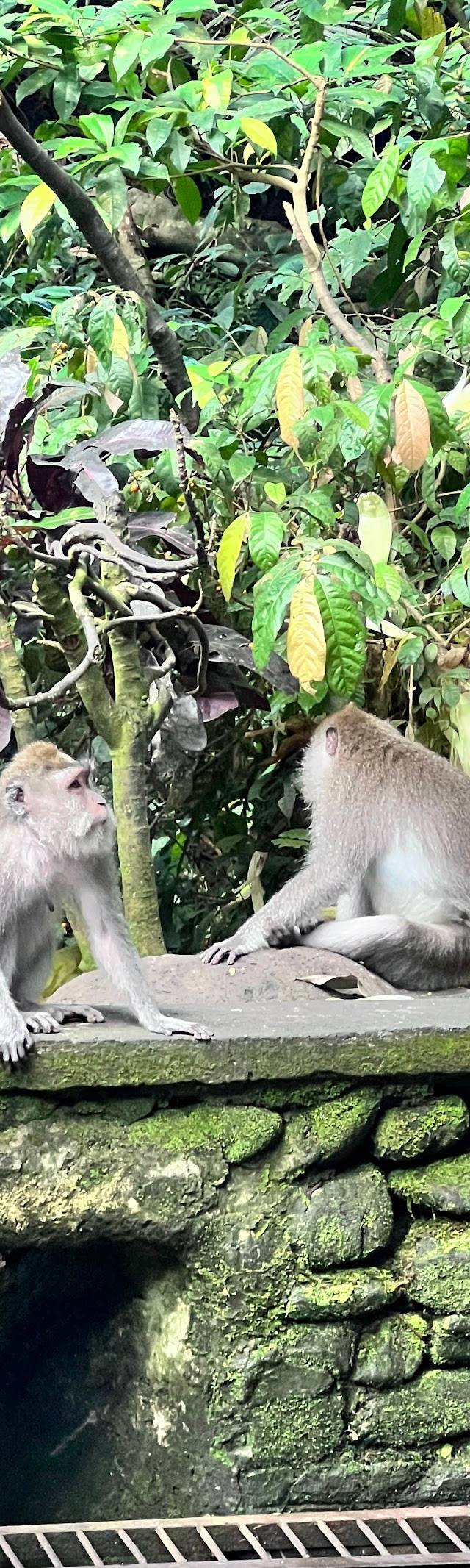 Bali Beyond the Beaches