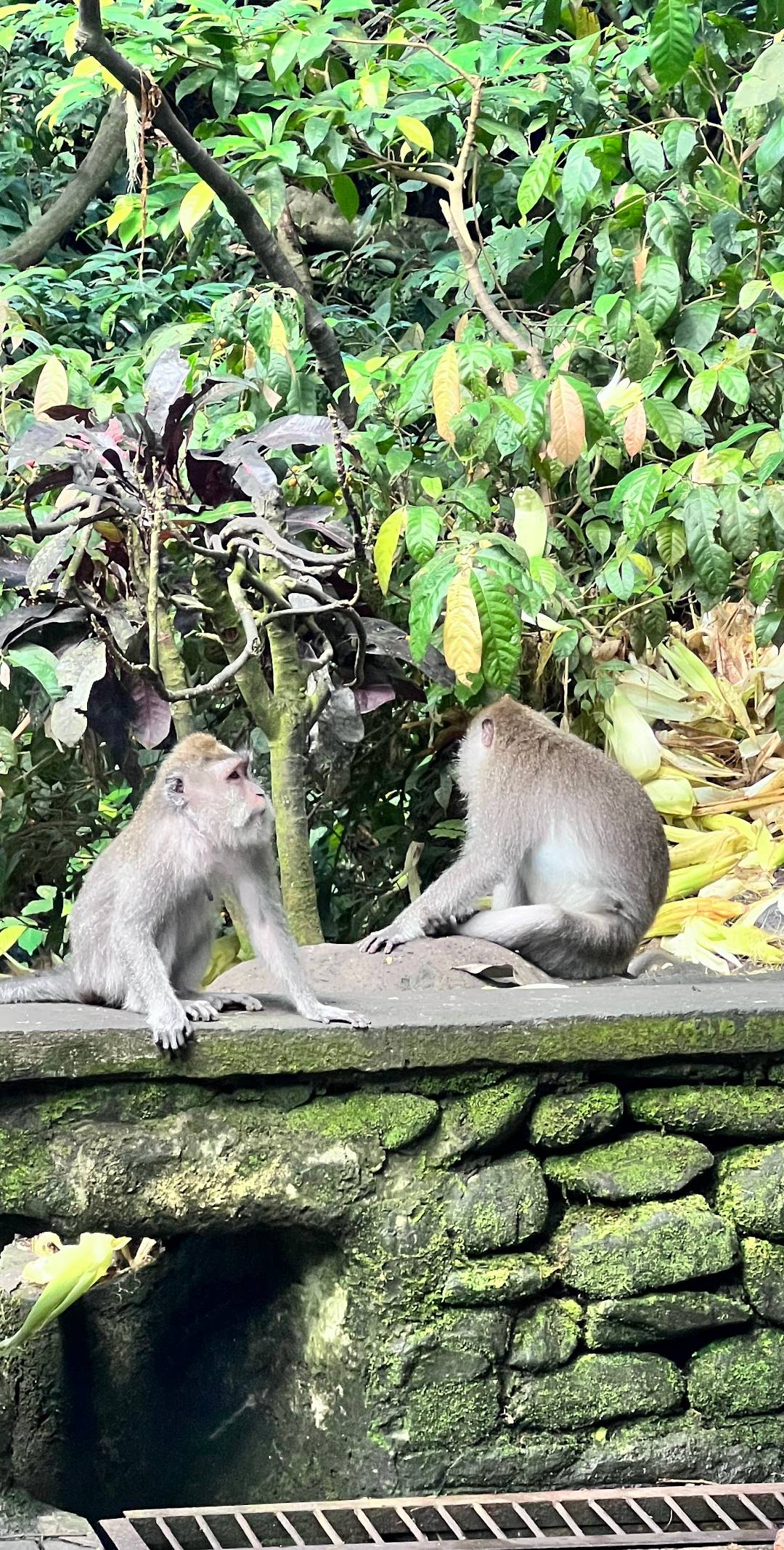Bali Beyond the Beaches 1