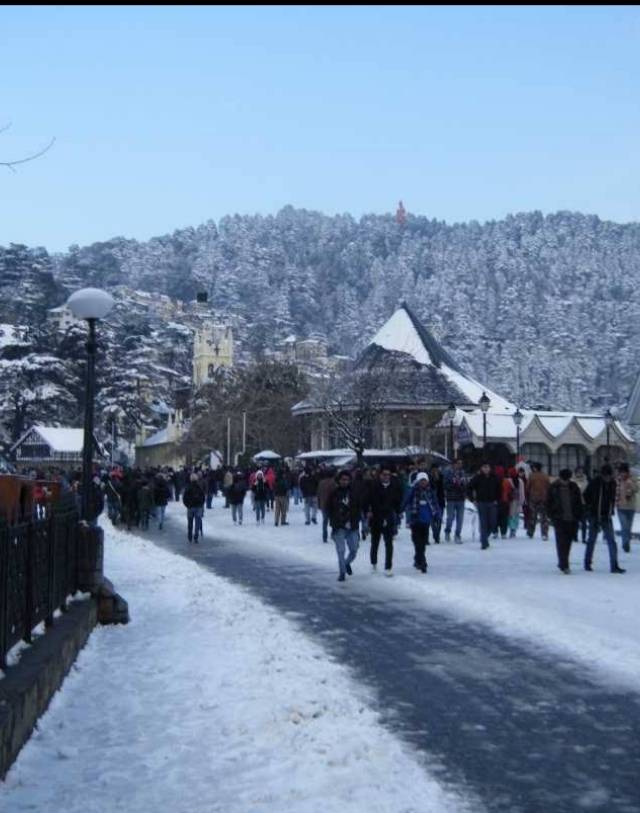 Manali & Shimla: A Himachal First Trip