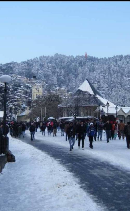 Manali & Shimla: A Himachal First Trip