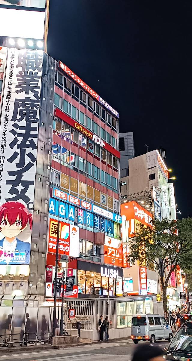 Japan: The Ultimate Two-Week First Trip