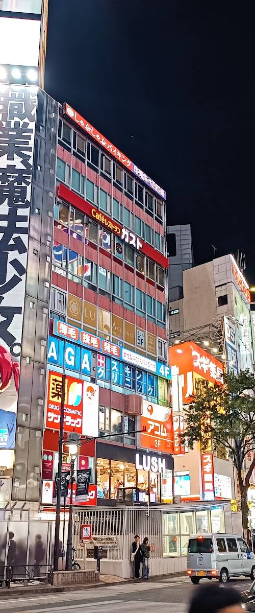 Japan: The Ultimate Two-Week First Trip