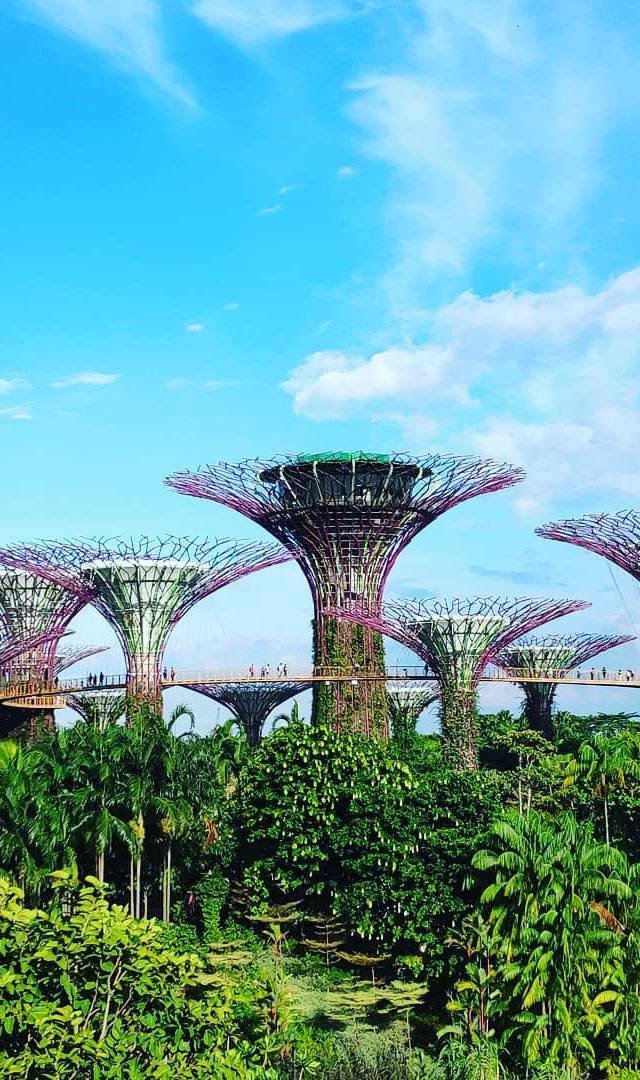 Singapore With Kids (and Without)