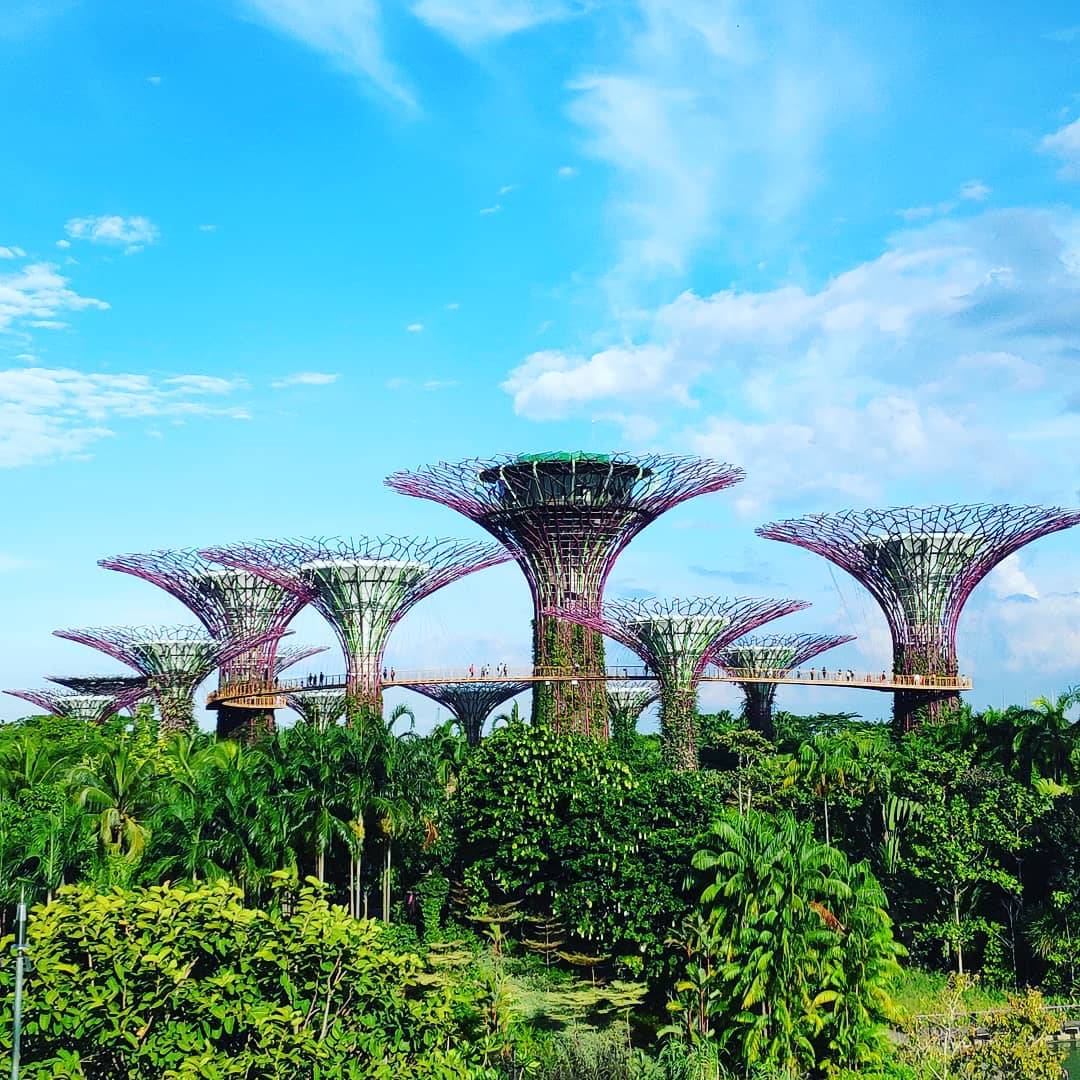 Singapore With Kids (and Without) 1