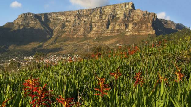 Cape Town: Where the Mountain Meets Two Oceans 1